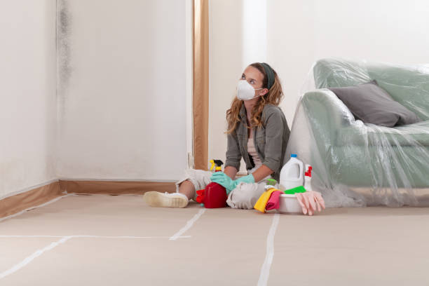 Reliable Basement Mold Removal contractor in Bloomington, IL by WQB Mold Removal